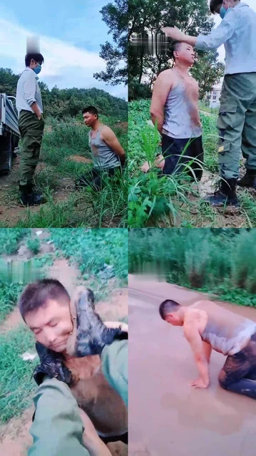 【伯爵】户外靴子踩虐遛狗/吃泥巴