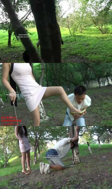 【冷柔】冷柔户外教育学生狗