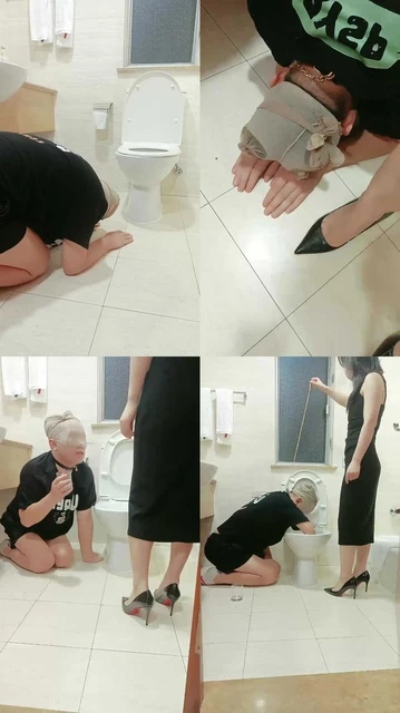 【王妃】厕奴清理脏马桶