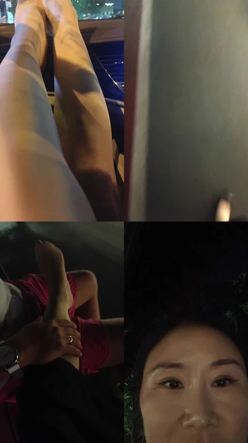 【贵夫人S】户外调狗