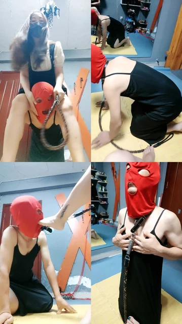 【东营天香百合】傻货来犯贱