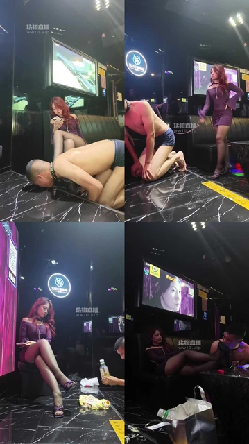 【贺贺s】赏赐贱狗过生日