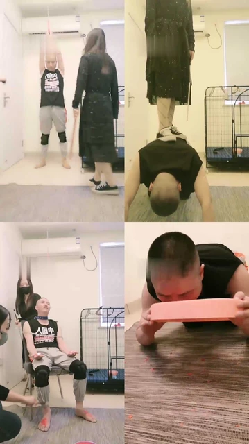 【安静S】全能狗被打的很惨【双视角版】