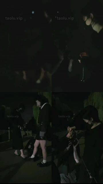 【鱼糯糯】双S-夜跑后户外无底线虐狗【双视角版】